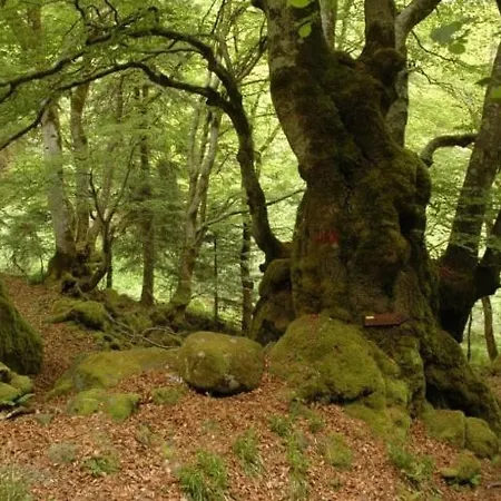 Tatil Evi Maison De Village Au Pied Des Pyrenees