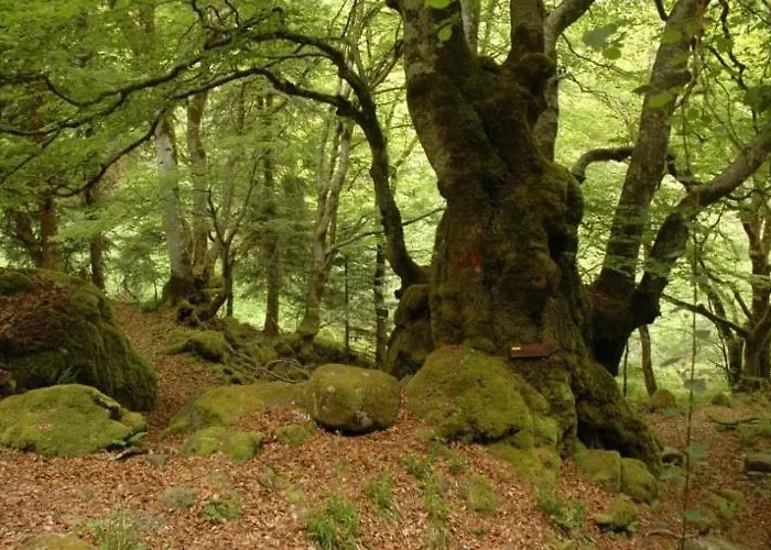 Дом отдыха Maison De Village Au Pied Des Pyrenees